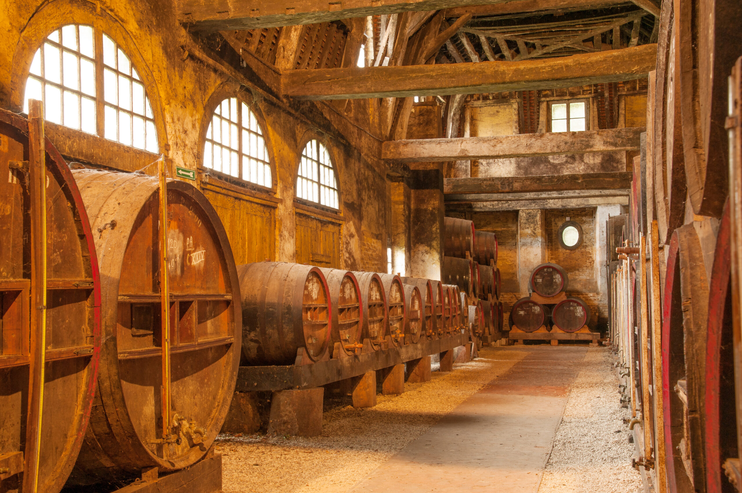 Row of oak barrels in Calvados distillery,  Normandy