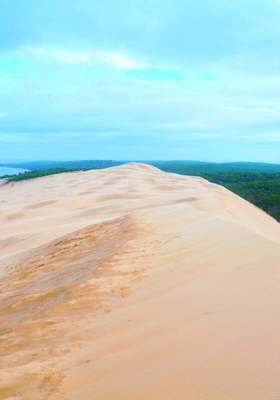 BO11- arcachon-bay-pilat-sand-dune-private-day-trip-from-bordeaux_large